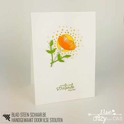 Blad Steen Schaar