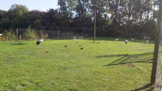 De Brielmeersen Urban Recreation Park