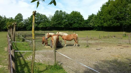 Kinderboerderij De Specht