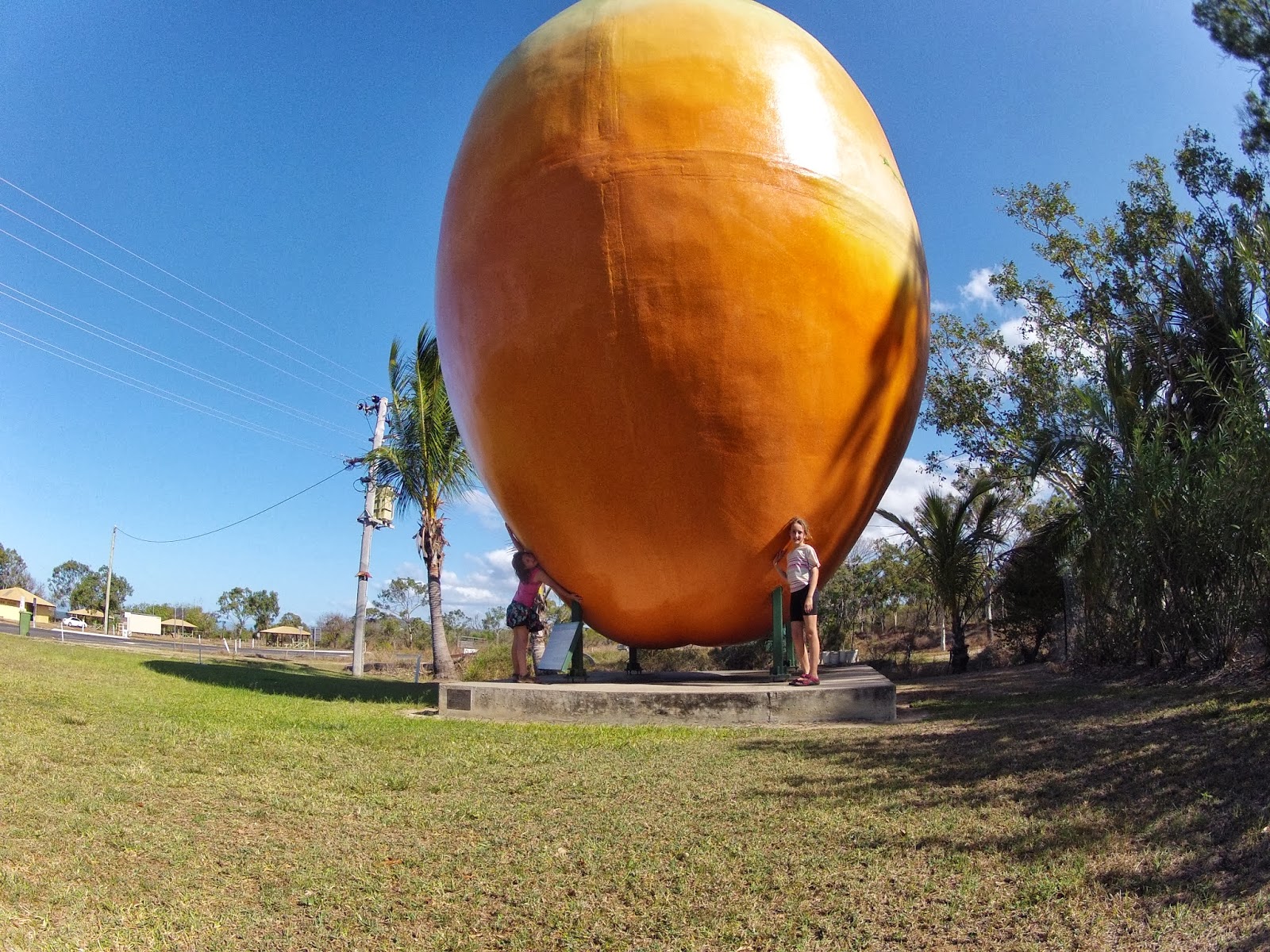 The Big Mango