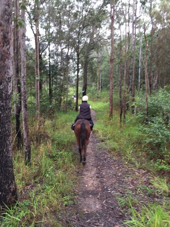 Tait's Wongabel Stables