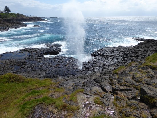 Little Blowhole Reserve Endeavour Lookout