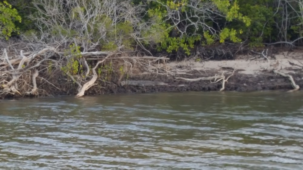 Annan River National Park
