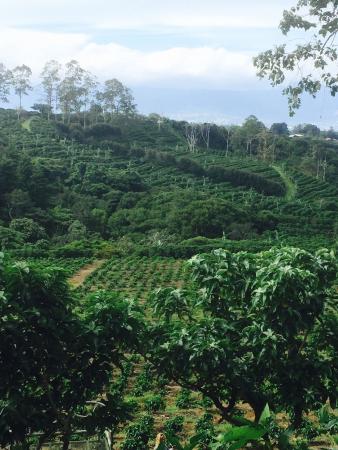 Tour Adventure Costa Rica