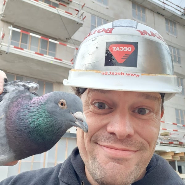 Opvangcentrum Vogels en Wilde Dieren