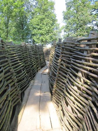 Bayernwald