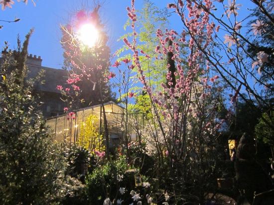 Outdoor Pictures 1