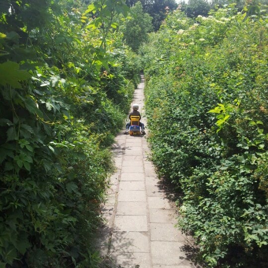 Park Adama Wodziczki