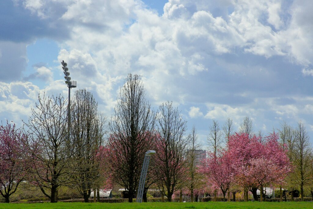 Parc Départemental des Hautes-Bruyères