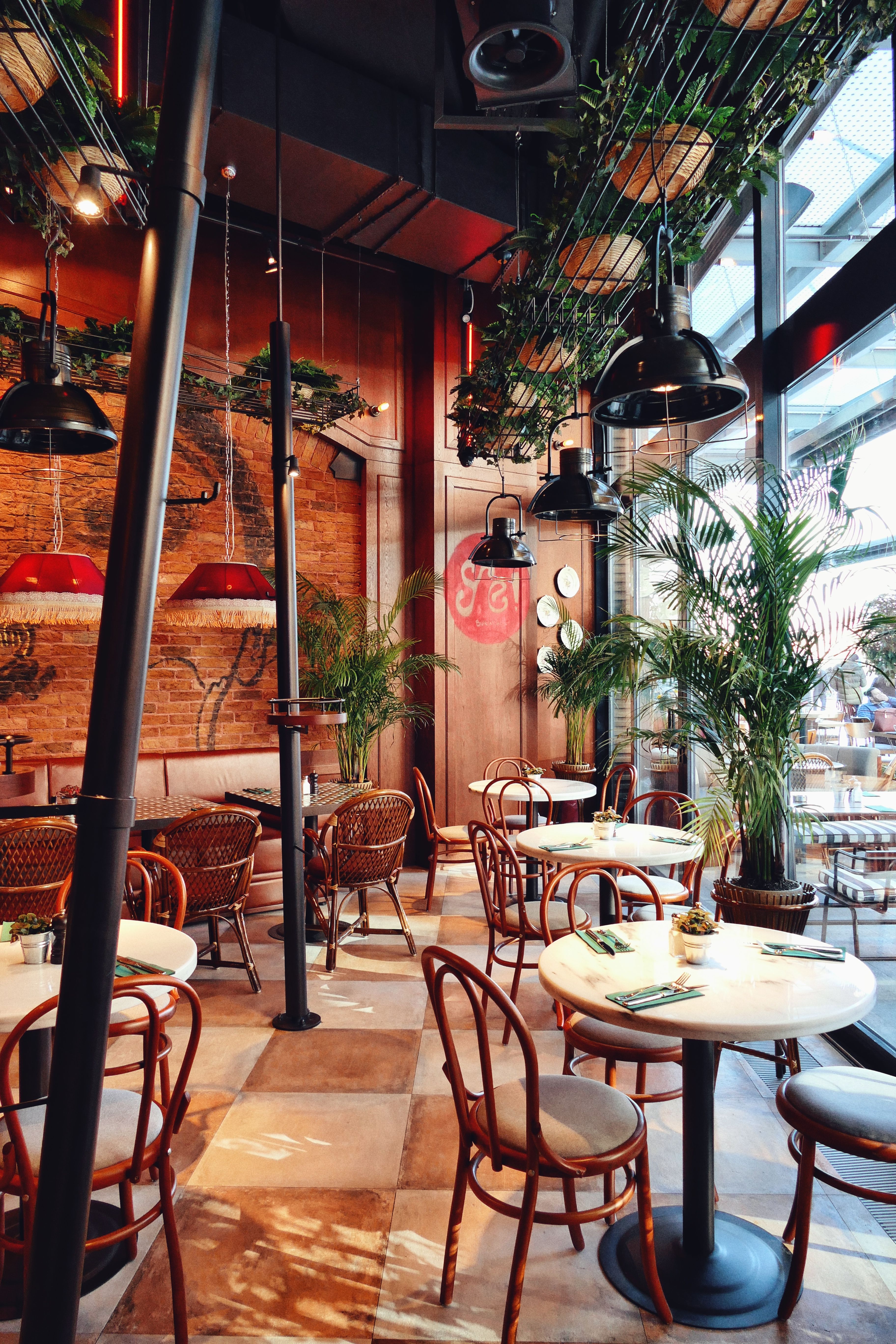 Satsuma Cafe Bar