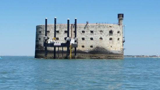 La Rochelle Croisière Haka