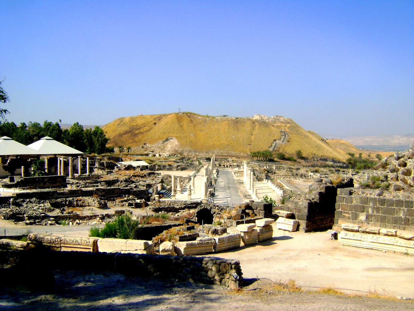 Cana
