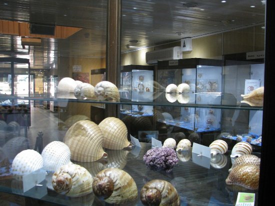 Isfahan Seashell Museum