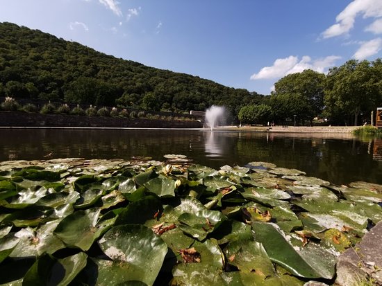 Parc de la Gare d'Eau