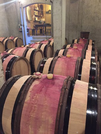 Wine Dream Concept