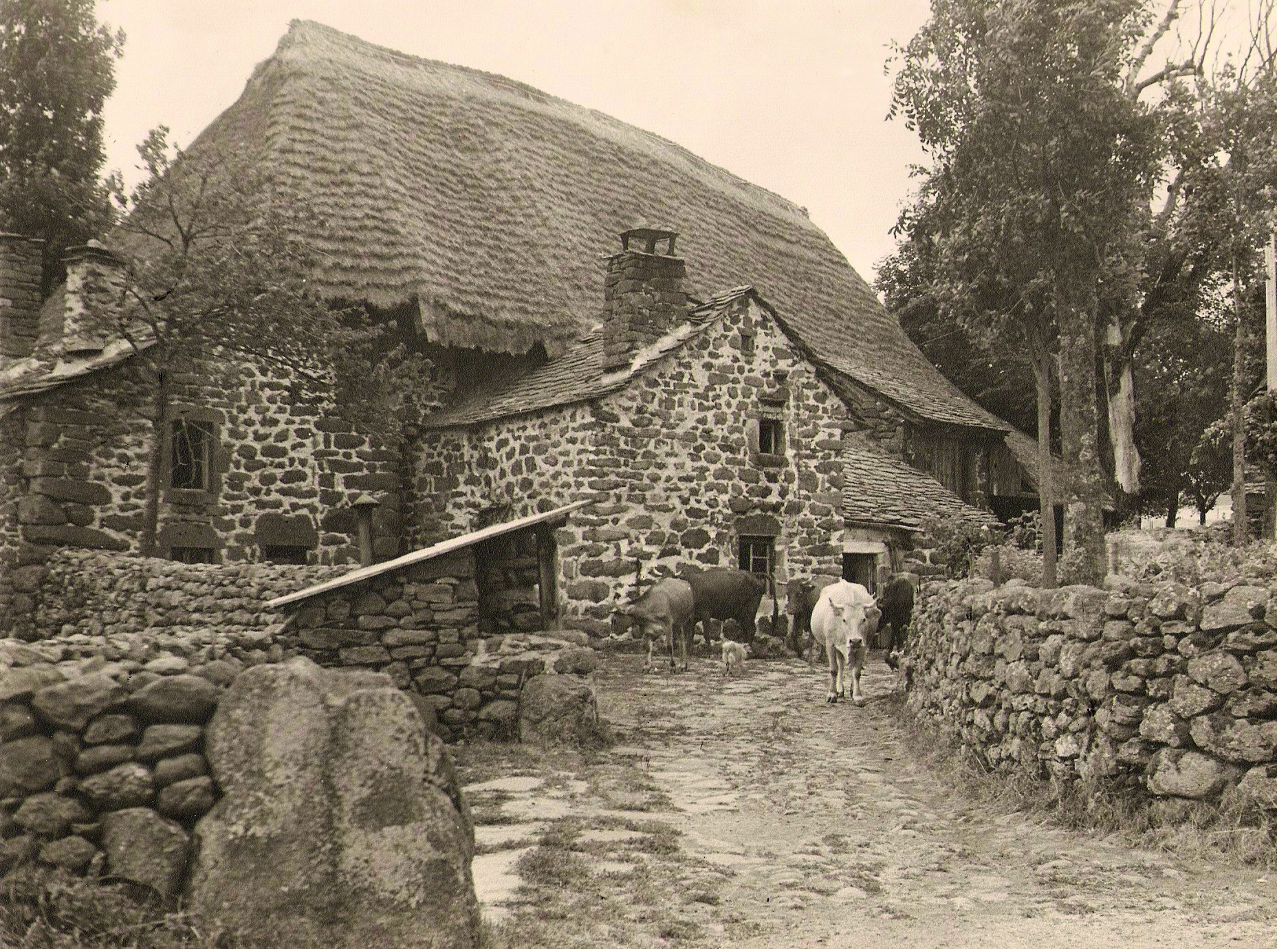 Ferme des Frères Perrel