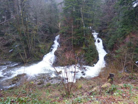 Sentier De La Goutte Des Saules