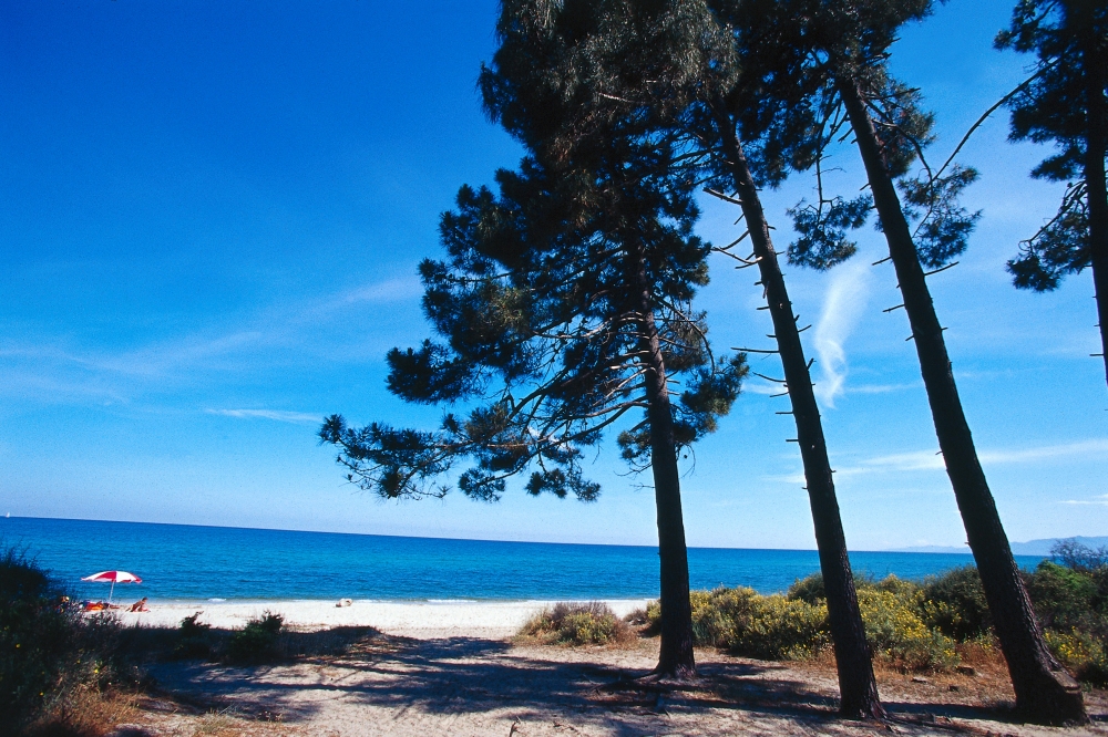 Plage de Pinia