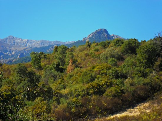 Route de Bavella