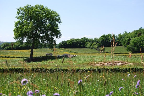 La Grange Agitée