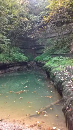 Source de l'Ain