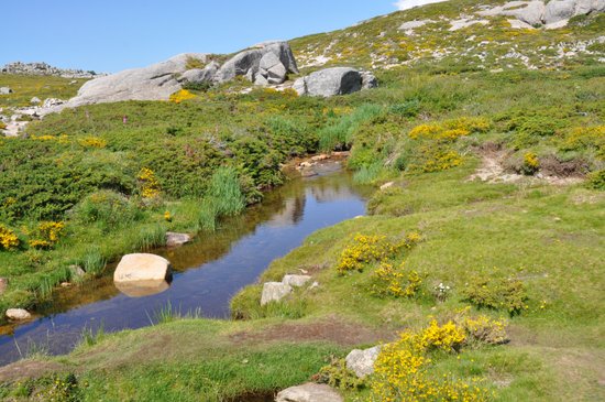 Plateau de Coscione