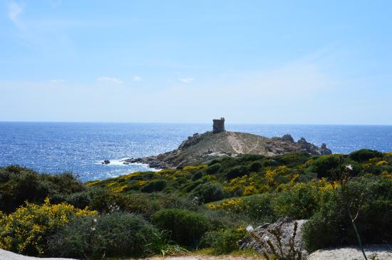 Torra d'Omigna