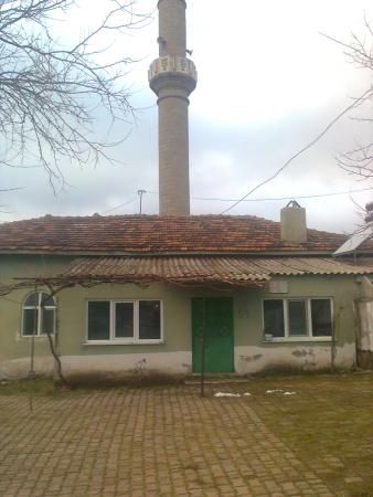 Turnalar Koyu Cami