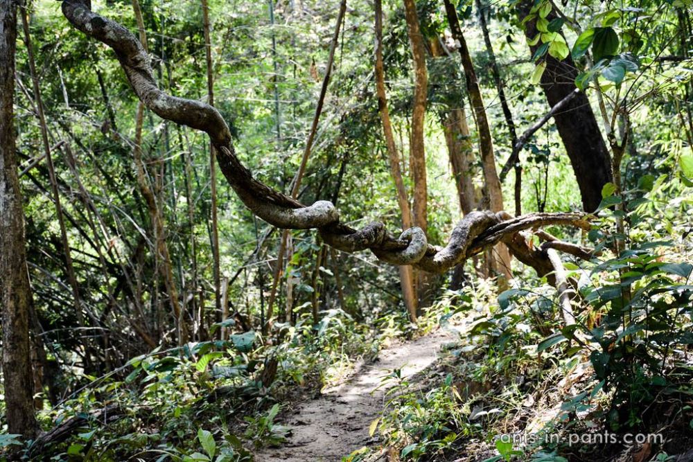 Salawin National Park