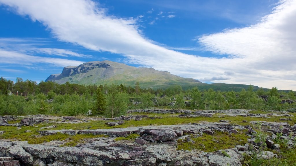 Vadvetsjåkka Nationalpark
