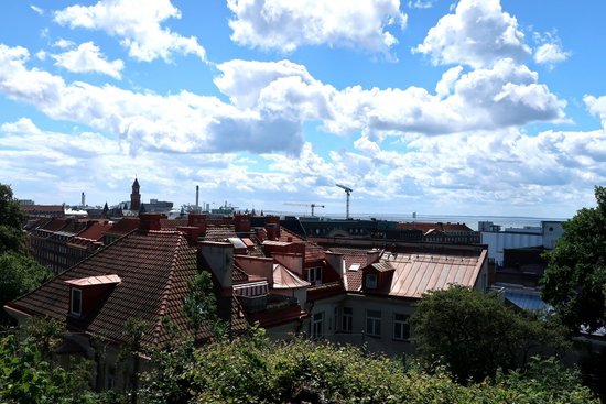 Vikingsbergsparken