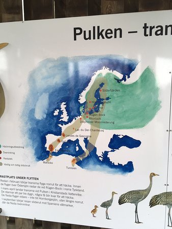 Pulken
