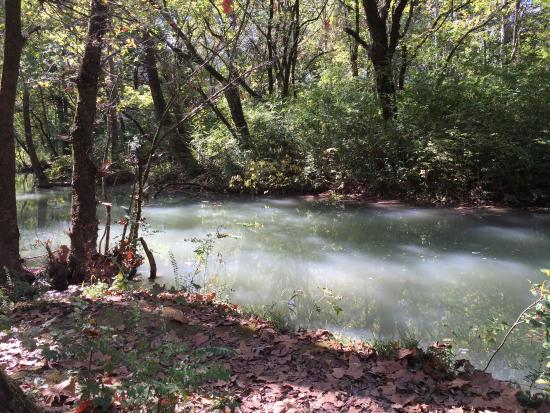 Buck Creek Trail