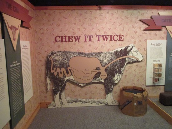 The MOOseum