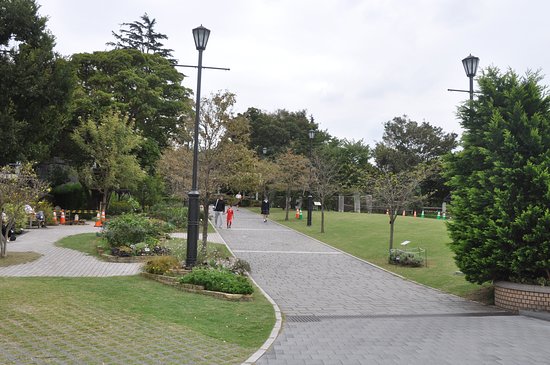 American Mountain Park
