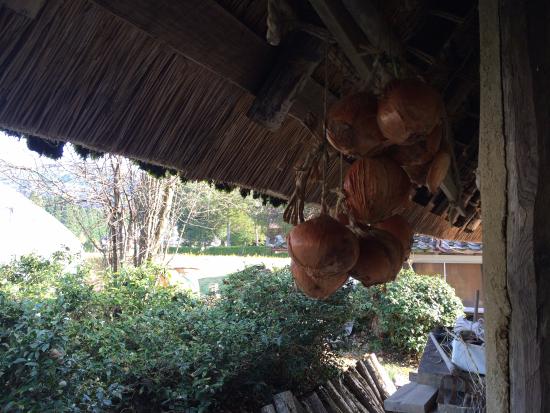 Watanabe Samurai House