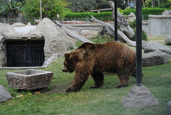 Oso Park