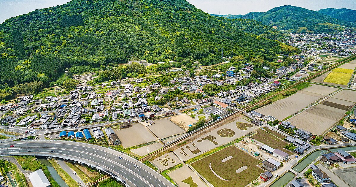 Mt. Tsuneyama