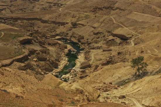 Wadi al-Mujib