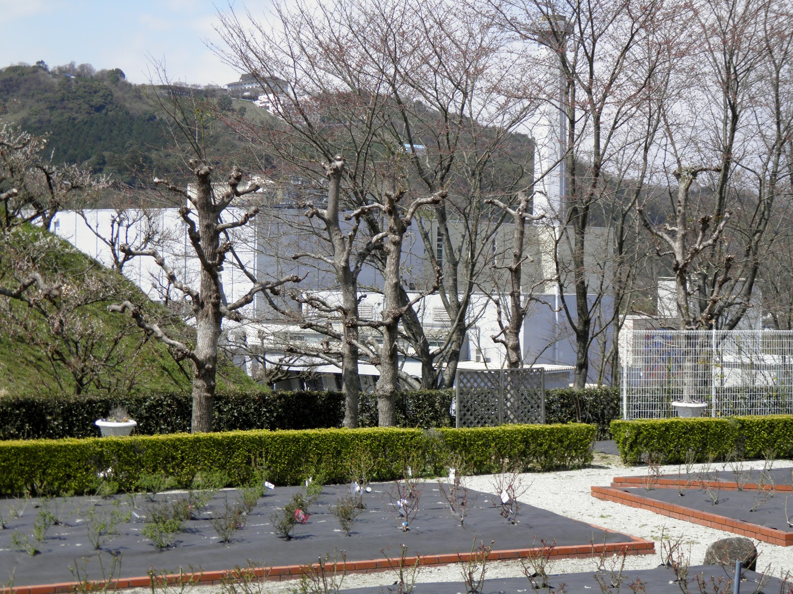 Itoshima City Agricultural Park Farm Park Itokoku