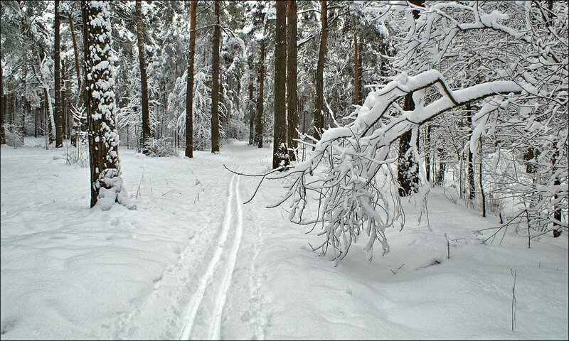 Sosnovy Bor Ski Lodge