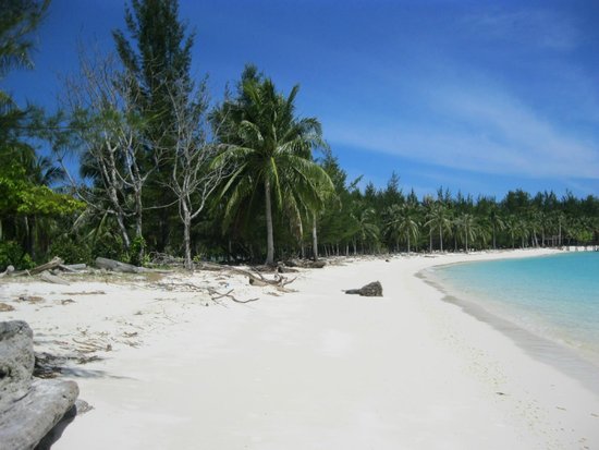 Touch Borneo