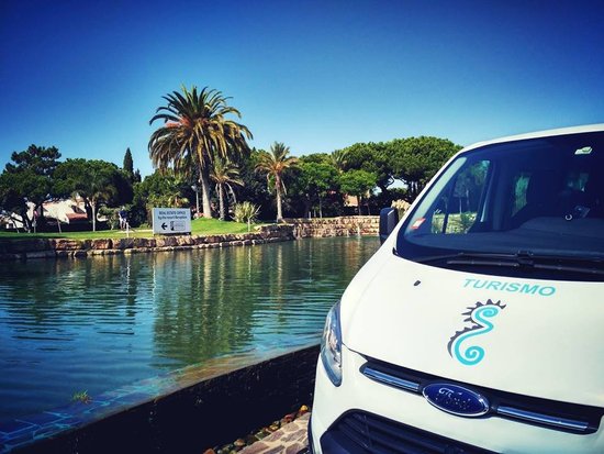 7 Seas Travel Transfers
