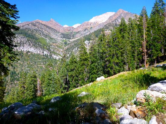 Mineral King Valley