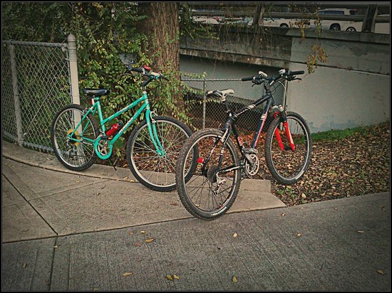 Iron Horse Trail