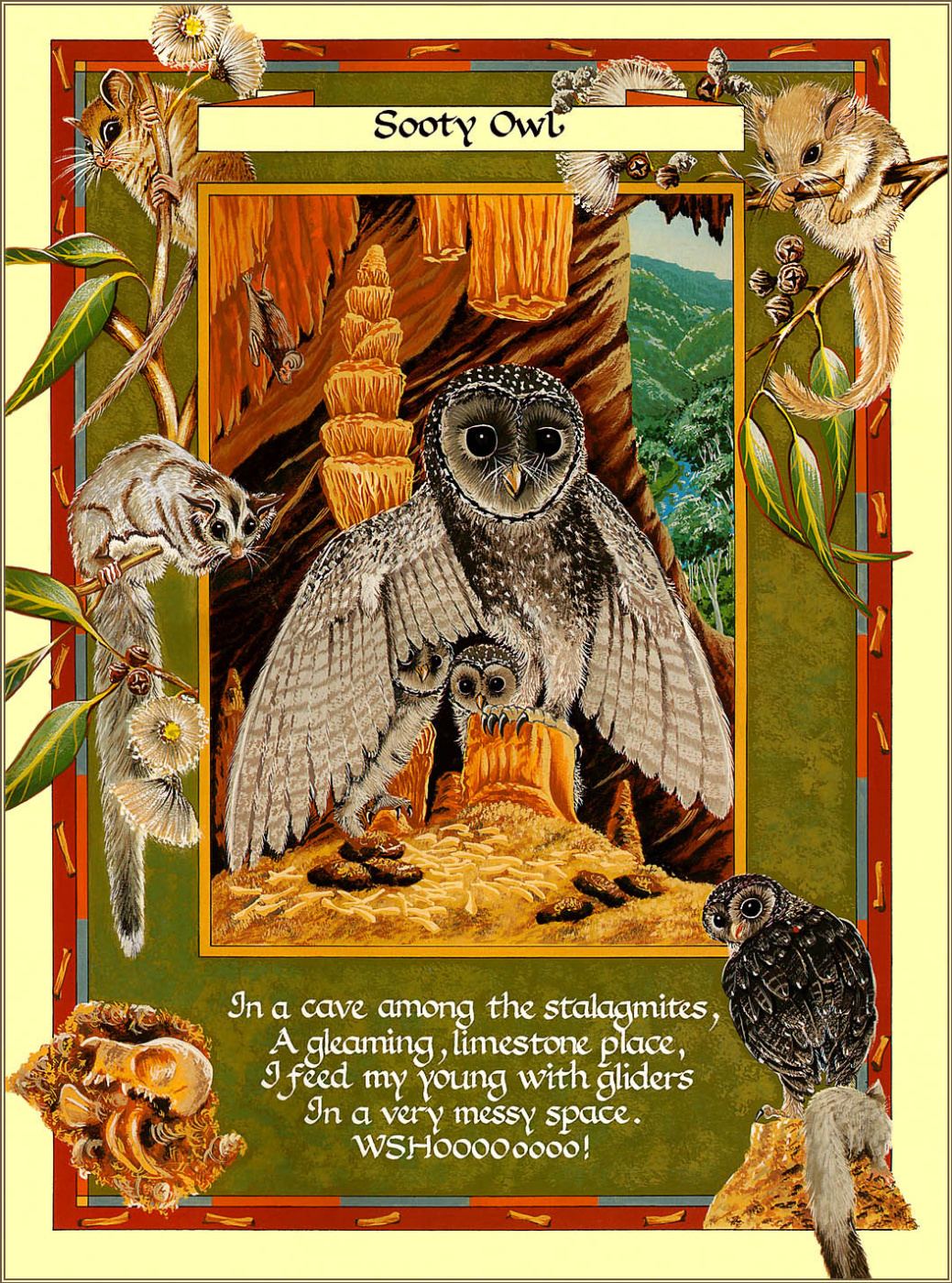 The Owl Box