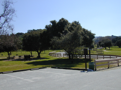 Outdoor Pictures 1