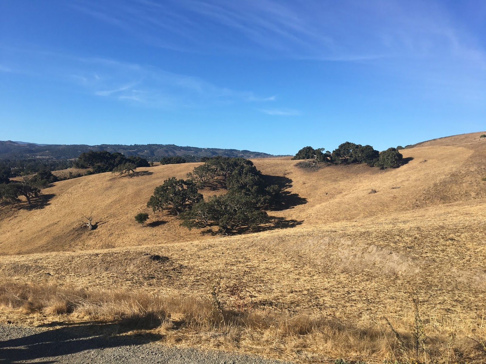 Fort Ord National Monument - Badger Hills Trailhead