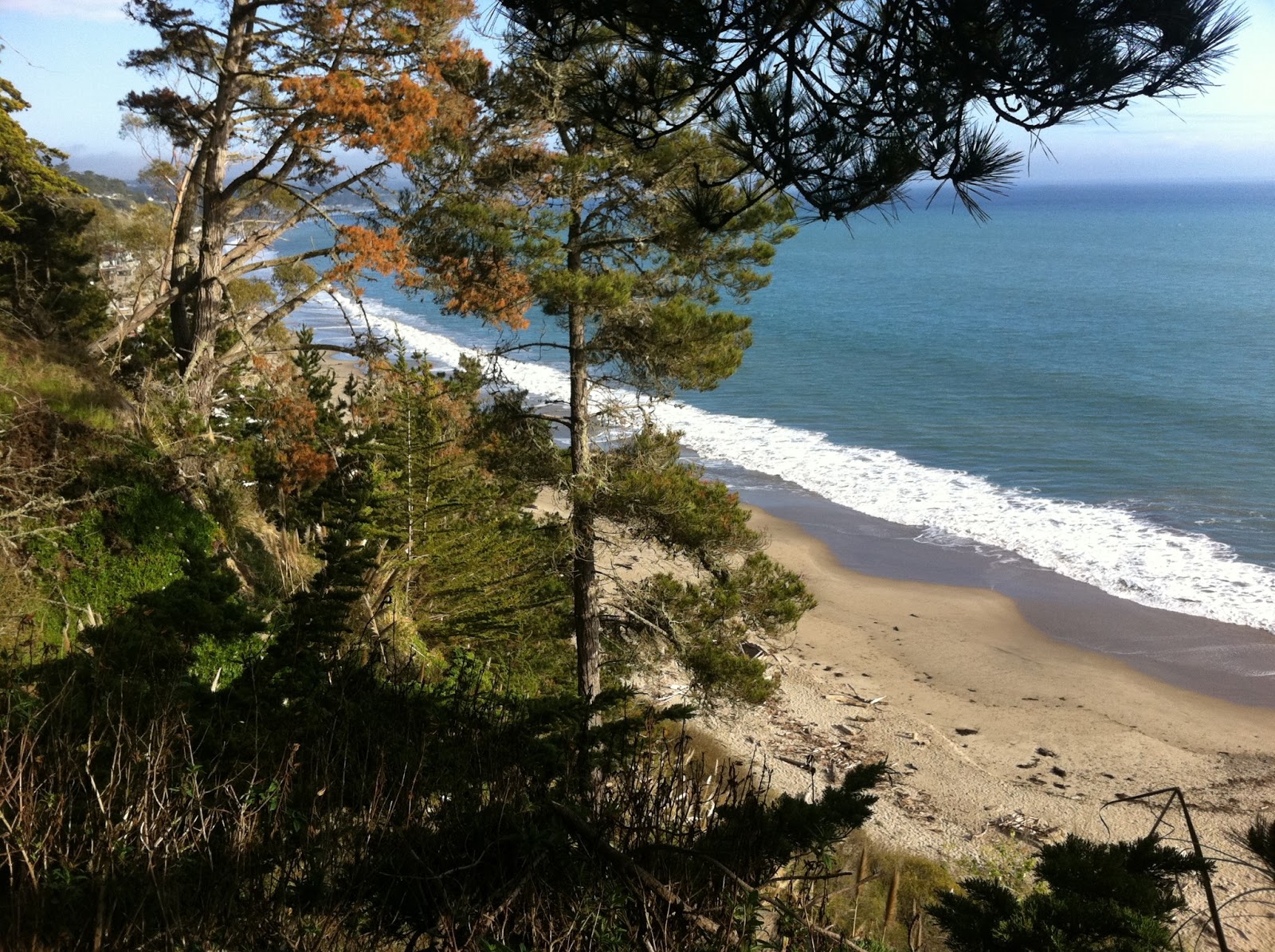 New Brighton State Beach