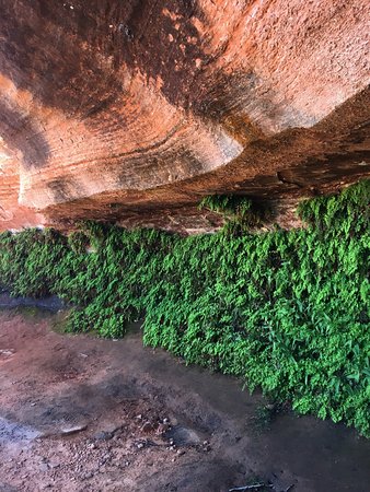 Hanging Gardens Trail